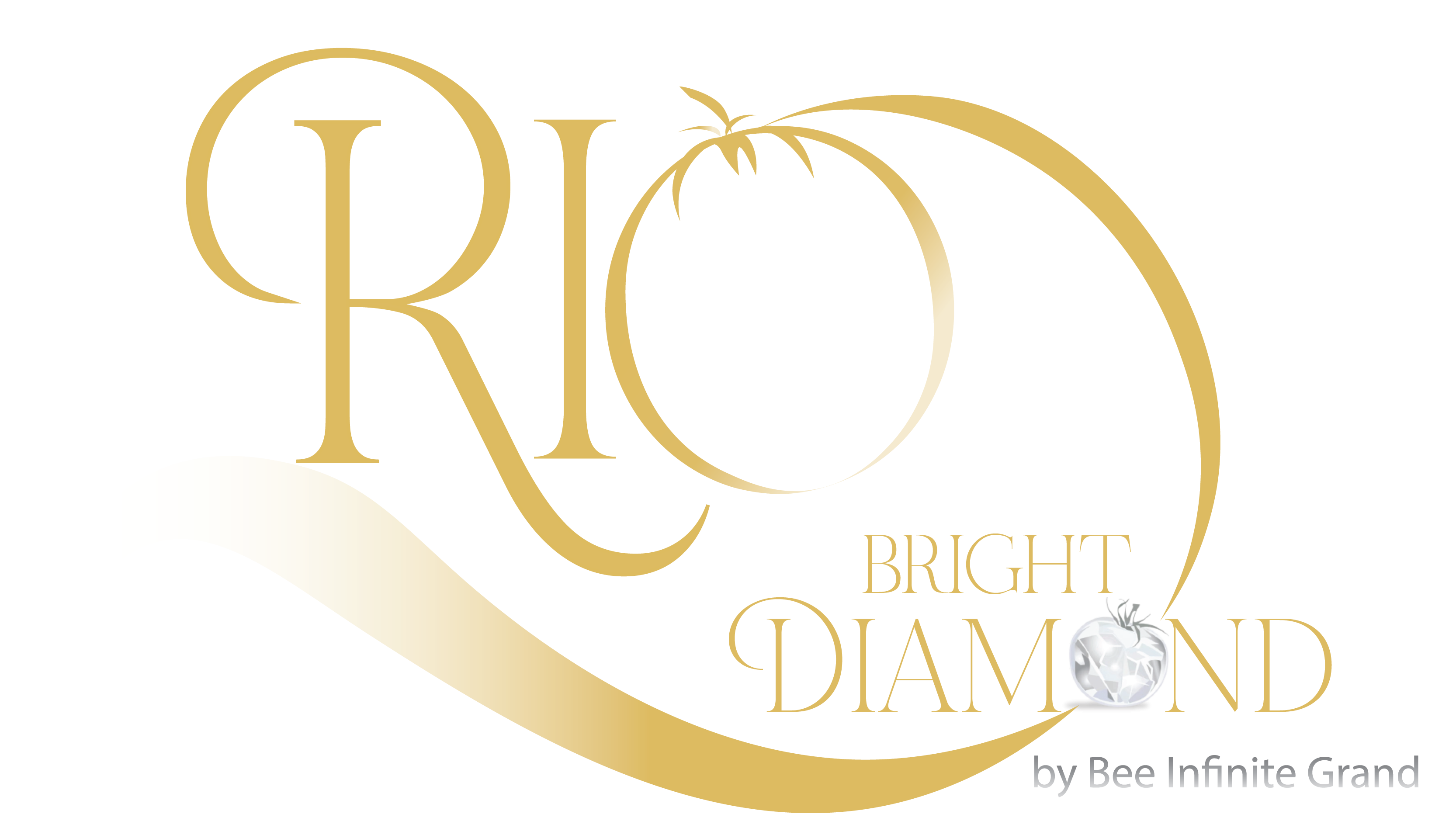 logo rio